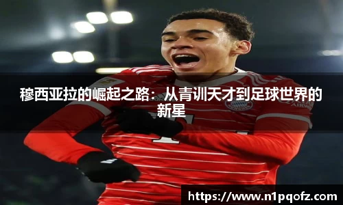 完美体育平台